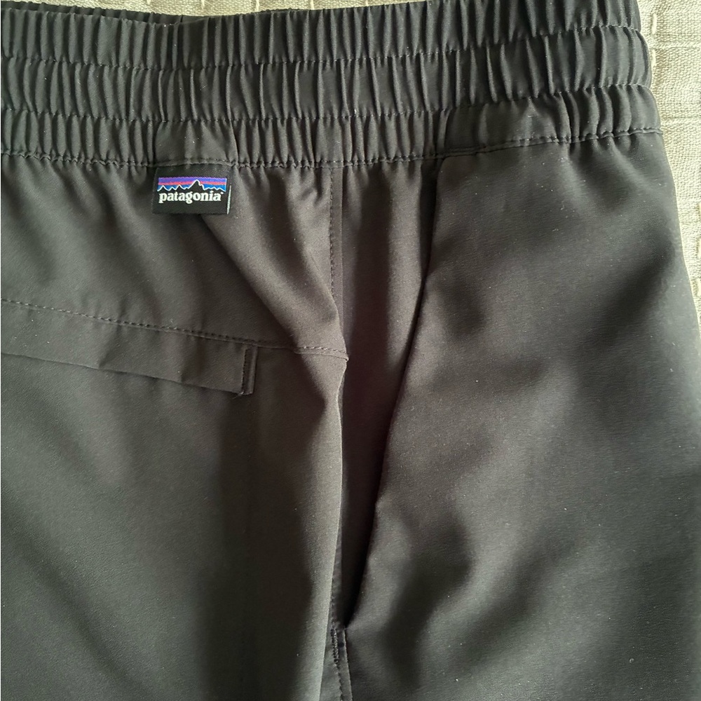 Patagonia fleetwith pants